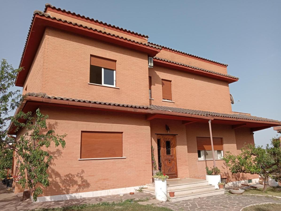 Da Piero E Gina Hotel Palidoro Buitenkant foto